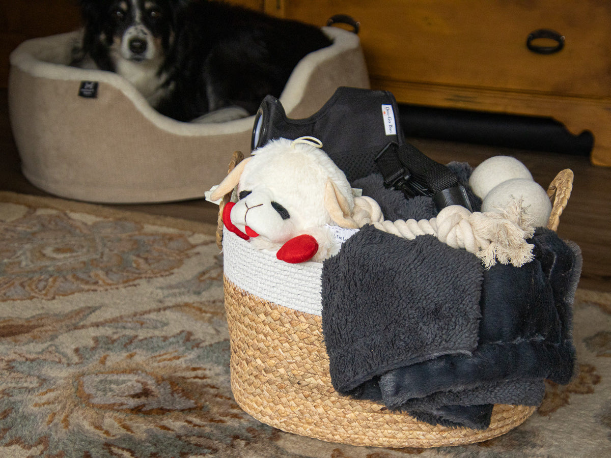 Irish Daisy gift for dog including plush toy and blanket, wool fetch balls, rope tug toy, and dog walking bag with strap in woven toy basket.
